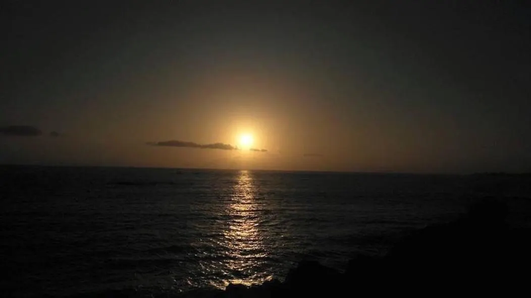 Beautiful Apartment Las Americas Playa Del Bobo Playa de las Americas  0*, Playa de las Americas (Tenerife)